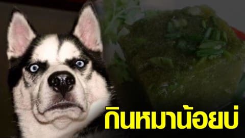 อีจันชวนกิน วุ้นลาบหมาน้อย อาหารจานเด็ดชาวอีสาน