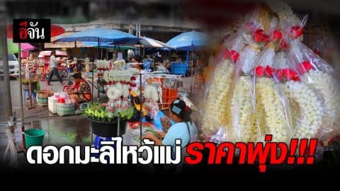 ดอกมะลิวันแม่ปรับขึ้นเท่าตัว ราคาพุ่ง พวงละ180บาท