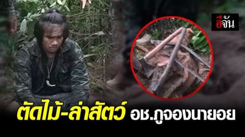 1 วัน จับ 2 ราย ตัดไม้-ล่าสัตว์ อช.ภูจองนายอย
