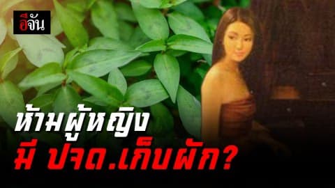 ห้ามผู้หญิงล้านนามี ปจด. เก็บผัก