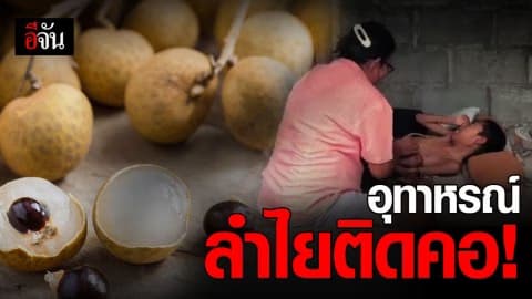 ลำไยเม็ดเดียว เปลี่ยนชีวิตหนูน้อยตลอดกาล