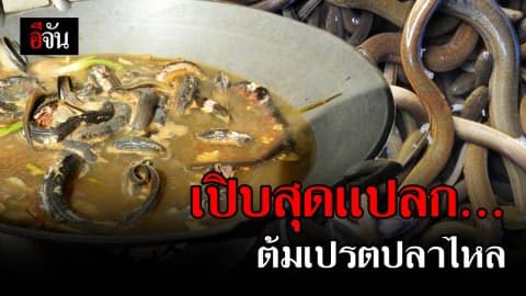 ต้มเปรตปลาไหล เมนูวัดใจ คนกลัวงู