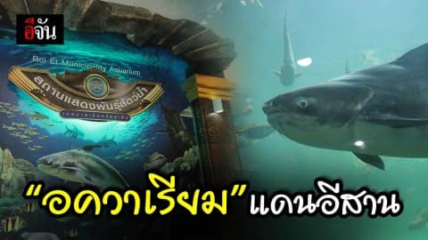 ร้อยเอ็ดก็มี “อควาเรียม” นะ รู้ยัง?