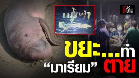สลดใจ ผลผ่าพิสูจน์ เจอพลาสติก ต้นเหตุทำมาเรียมตาย