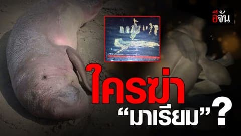 รู้ไหม? ใครฆ่ามาเรียม