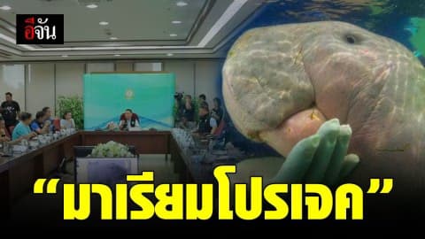 การตายของพะยูนมาเรียม สู่ “มาเรียมโปรเจค” ถอดบทเรียนอนุรักษ์พะยูน