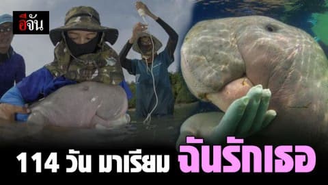 114 วัน ที่เรารู้จักกัน มาเรียม สาวน้อยแห่งท้องทะเล