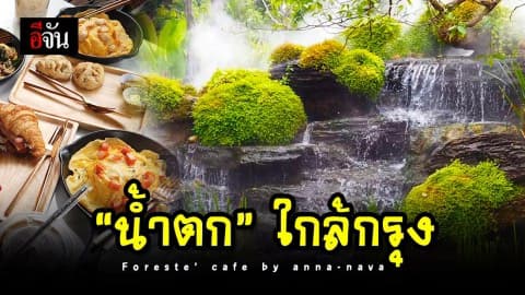 พักผ่อนสมอง มองน้ำตกที่ “Foreste cafe”