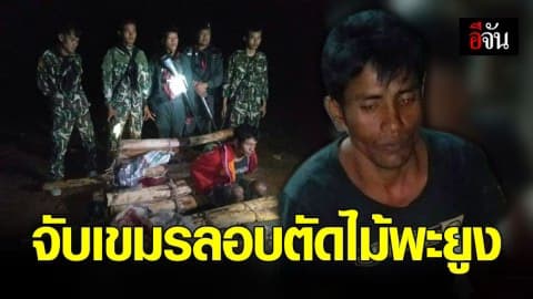 จับชาย เขมร 1 ราย ขณะลักลอบตัดไม้พะยูง ในขปส.พนมดงรัก