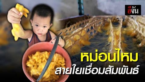 ปลูกหม่อนเลี้ยงไหม สายใยที่ให้มากกว่าอาชีพ