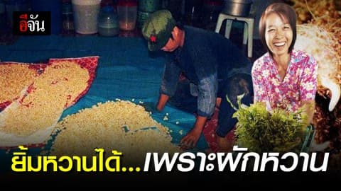 “ผักหวาน” พืชทำเงิน ลงทุน 1 ครั้ง รับกำไรยาวๆ