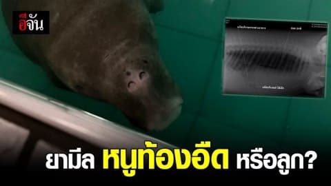 กรมทรัพยากรทางทะเลและชายฝั่งโพสต์ ยามีลท้องอืด!