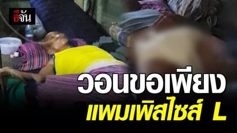 #อีจันอินบ็อกซ์ ขอบริจาคแพมเพิสไซส์ L