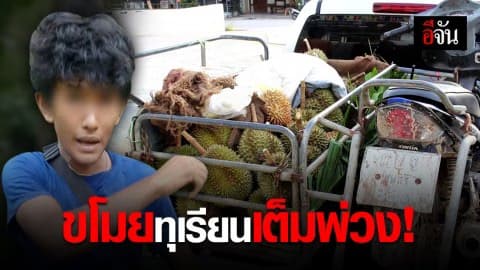 จับหนุ่ม 14 แอบตัดทุเรียนชาวบ้านไปขาย