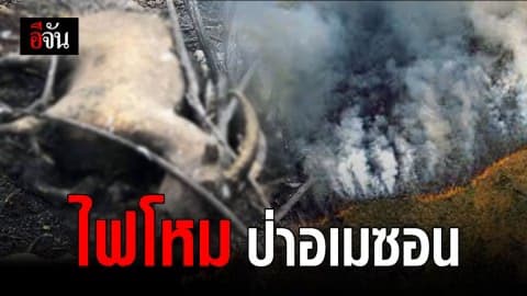 ปอดโลกวิกฤต! อเมซอน เกิดไฟป่ารุนแรงที่สุดในรอบ 7 ปี