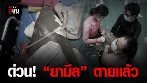 เศร้าซ้ำ ยามีล ตายเเล้ว