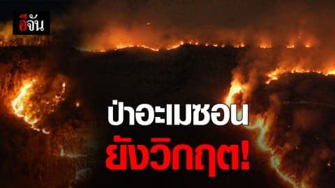 ไฟไหม้ป่าอะเมซอน เพิ่มมากกว่าเดือนที่แล้ว 3 หมื่นกว่าครั้ง สหประชาชาติเร่งแก้ไข