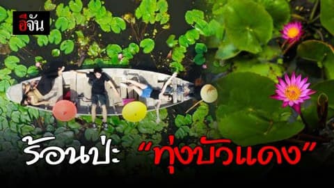 กางร่มชม “ทุ่งบัวแดง” บางเลน