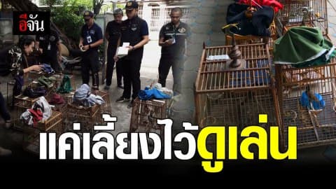 รวบชาย ลักลอบเลี้ยงนกปรอดหัวโขน สัตว์ป่าคุ้มครอง