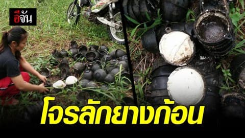 เจ้าของสวนยางสุดช้ำ ถูกโจรขโมยยางก้อน กว่า 100 กก.