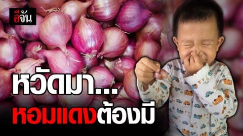 หอมแดง ยาแก้หวัดชั้นดี