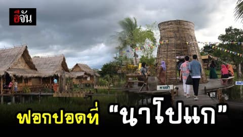 สูดอากาศโอโซนกับผืนนาสาธิต “นาโปแก”