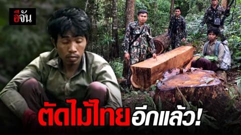 รวบกัมพูชา ลักลอบตัดไม้ในไทย ส่งพ่อค้ารายใหญ่