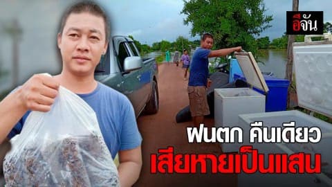หนุ่มเจ้าของฟาร์มจิ้งหรีดโอด ฝนตกคืนเดียวน้ำท่วม เสียหายนับแสน