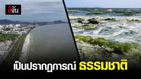 นายกเทศมนตรี ชลบุรี ชี้ บางแสนสีเขียวเป็นปรากฏการณ์ “แพลงก์ตอนบลูม”