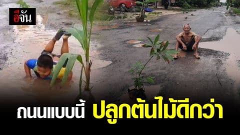 ชาวบ้านปลูกต้นไม้ในหลุมถนน ประชด อบต. ปล่อยถนนพัง 5 ปีไม่เหลียวแล