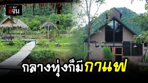 “เขาใหญ่ปลายนา” จิบกาแฟท่ามกลางบรรยากาศทุ่ง