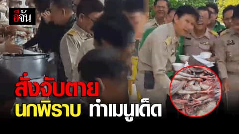 ลดปัญหานกพิราบ นายอำเภอลพบุรีสั่งจับตัวละ 10 บาท