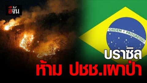บราซิลให้คำมั่น ห้าม ปชช. เผาป่าเพื่อทำการเกษตร