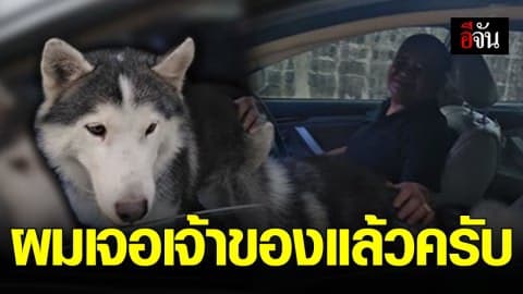 สโนว์ไวท์ เจอเจ้าของแล้ว หลังสังคมอีจันช่วยตามหาเจ้าของ