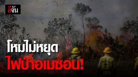 บราซิลห้ามเผาป่า 60 วัน หลังไฟป่า อเมซอนยังโหมไม่หยุด!