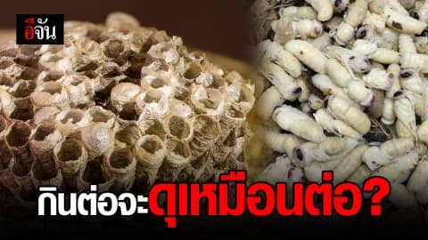 อยากให้ลูกสู้คนต้องกินตัวต่อ จริงเหรอ?