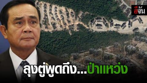 ไว้ใจผม…แก้ปัญหาป่าแหว่ง