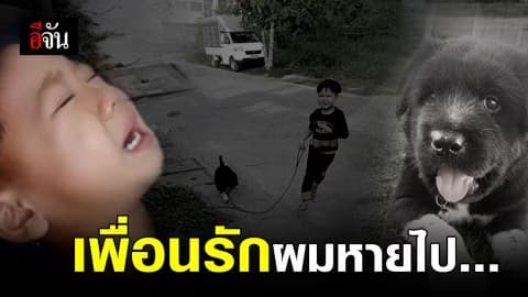 หนูน้อยร้องไห้โฮ ! เรียกหาเจ้าตูบที่หายไป