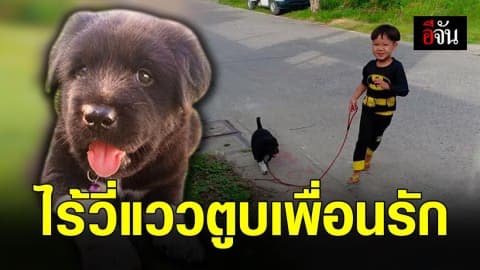 เข้าสู่วันที่ 5 ยังไร้วี่แวว! ตูบเพื่อนรักของ ด.ช.วัย 5 ขวบ