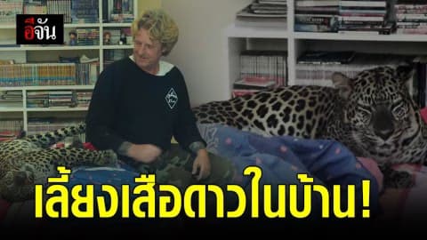 ชาวบ้านผวา! แจ้ง “เหยี่ยวดง” ตรวจสอบ มีคนเลี้ยงเสือดาวในบ้าน