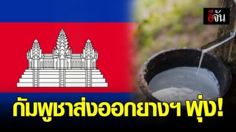 กัมพูชาส่งออก ‘ยางพารา’ เพิ่มขึ้น 25% ใน 7 เดือนแรก