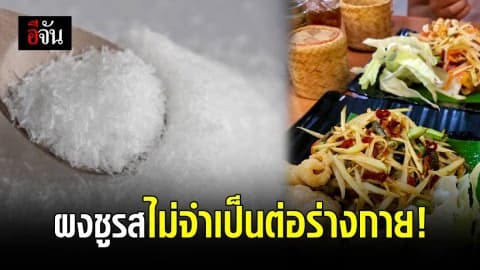 กรมอนามัยเตือน ผงชูรสไม่จำเป็นต่อร่างกาย!