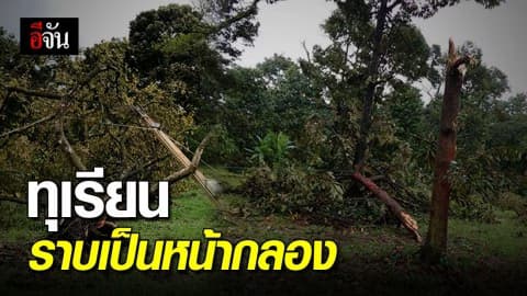 พายุคาจิกิ ถล่ม!! สวนทุเรียนเมืองจันทบุรี เสียหายหลายล้านบาท