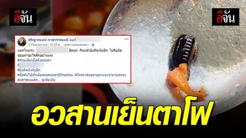 แทบช็อค! เจอไข่แมลงสาบในเย็นตาโฟ… อวสานอาหารมื้ออร่อย
