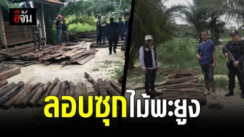 ป่าไม้สระบุรี บุกตรวจบ้านพัก พบไม้พะยูงอื้อ!