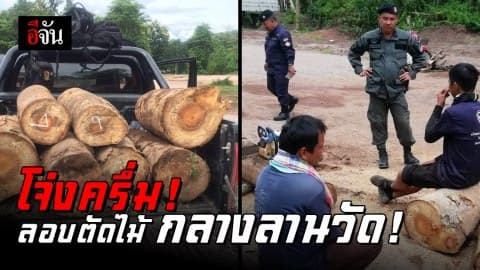 รวบ 3 ราย ลอบตัดไม้กระยาเลย กลางลานวัด