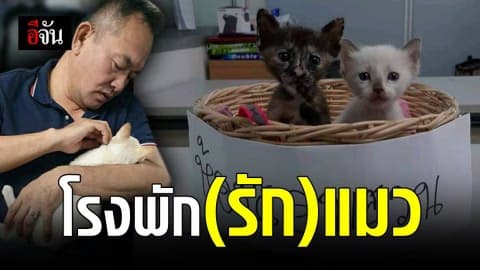 เพจ “เเมวโรงพัก” ความน่ารักของตำรวจกับแมว