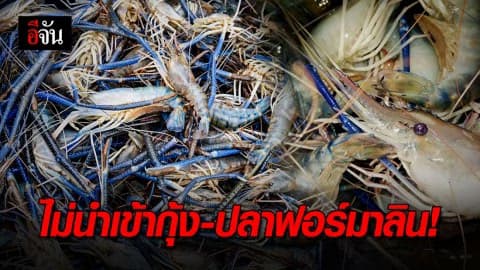 เมียนมาเตรียมตรวจเข้มกุ้ง-ปลาจากไทย ใช้ฟอร์มาลินหรือไม่!