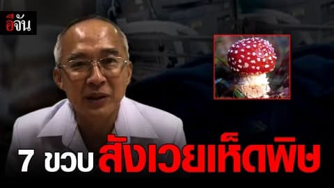 สลด ยายพลาดเก็บเห็ดพิษ แกงให้หลานกิน ก่อนช็อกดับ