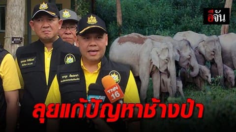 เปิดศูนย์เฝ้าระวังช้างป่าด้วยระบบเตือนภัยล่วงหน้า นำร่องอุทยานแห่งชาติกุยบุรี